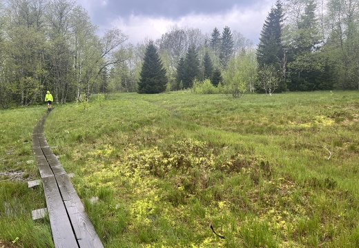 23-05-23 13-09-39 5597